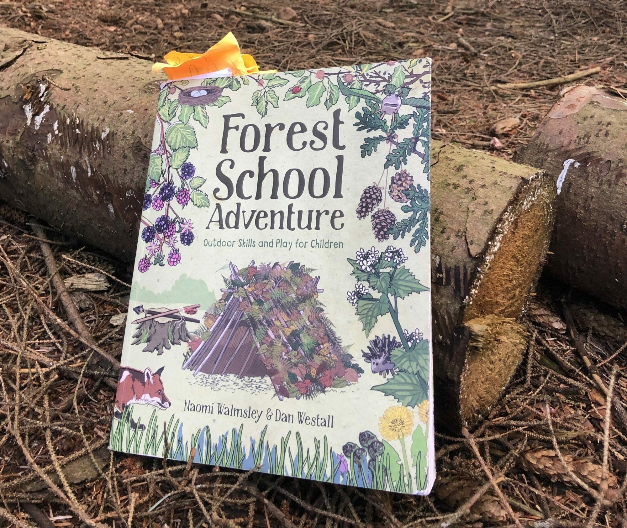 Forest School Adventure